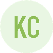 Direct Protection Security logo